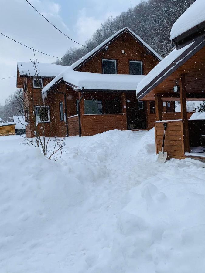 Villa Bieszczadzki Klin Bklin Cisna Exterior foto
