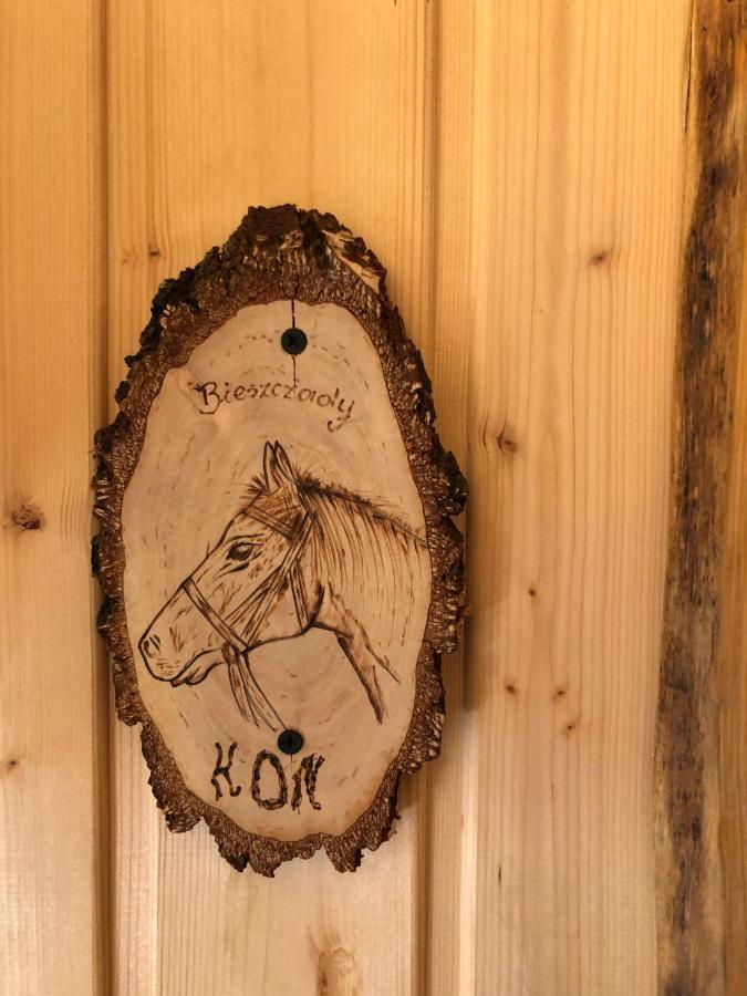 Villa Bieszczadzki Klin Bklin Cisna Habitación foto
